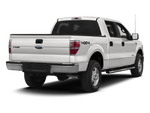 2013 Ford F-150 Platinum