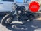 2015 Harley-Davidson Sportster Base