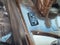 2012 Acura MDX Tech Pkg